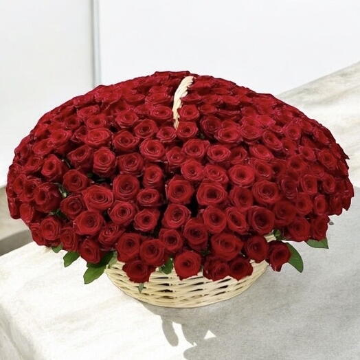 300 red rose in basket