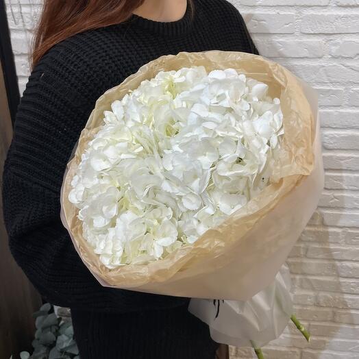 Bouquet of white hydrangeas