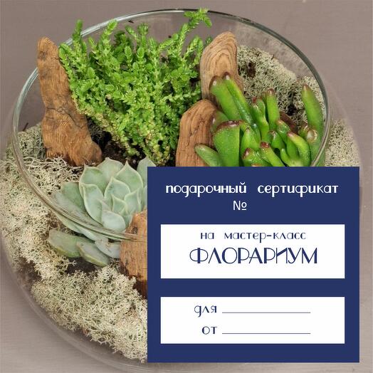 Мастер-класс по созданию флорариума