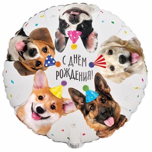 Шар, фольга, гелий « С днем рождения»