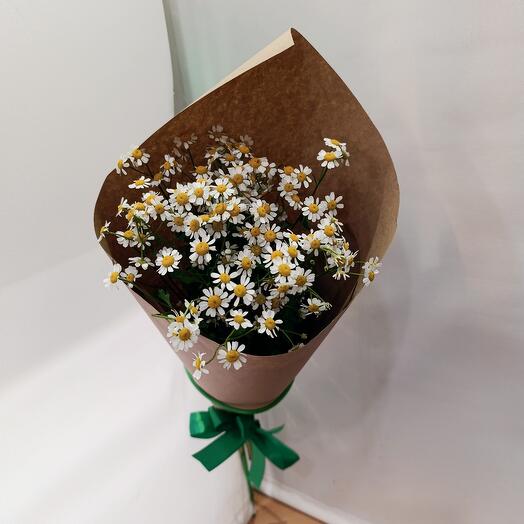 Bouquet of Thanacetum daisies