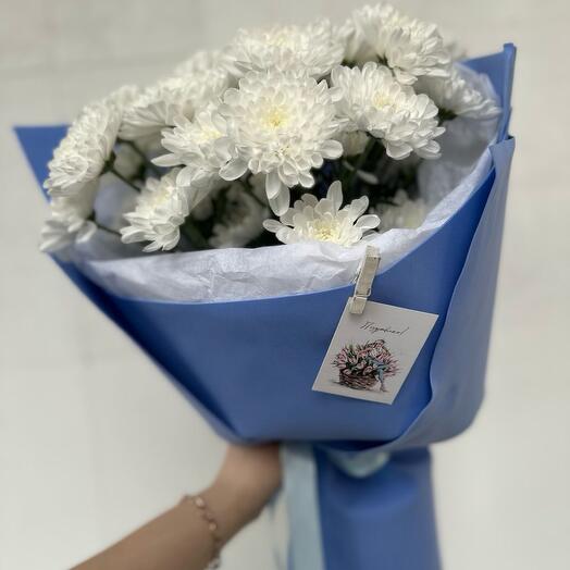 Altai Chrysanthemums