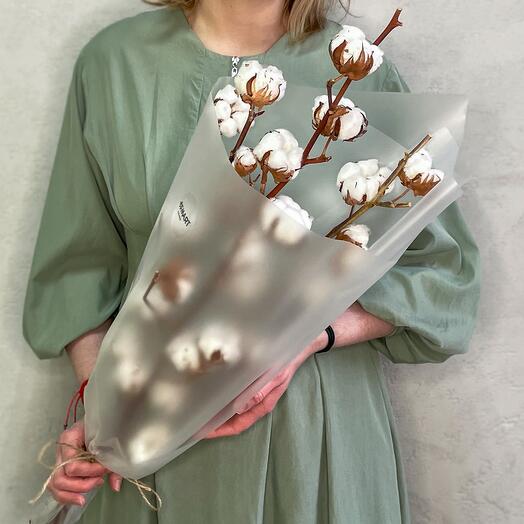 Хлопок