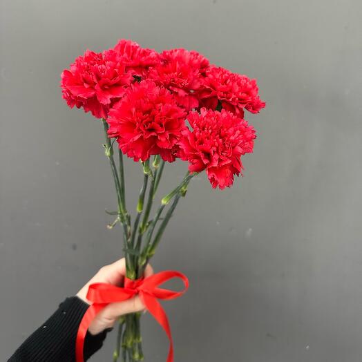 Гвоздики