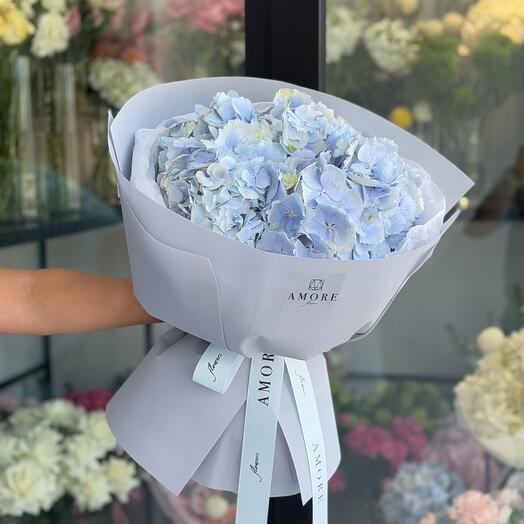 5 Hydrangea Blue
