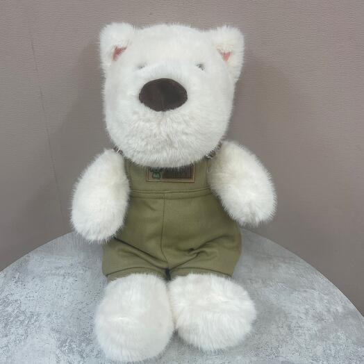 Собачка в комбенизоне