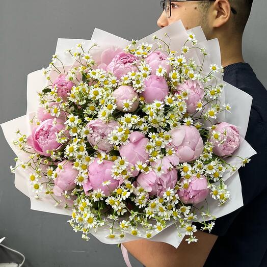 15 пионов Сара Бернар с ромашками (0006) peony