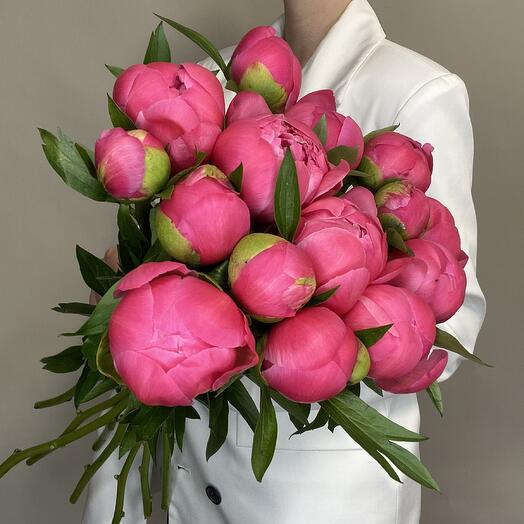 Коралловые пионы