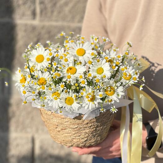 Корзина с ромашками S