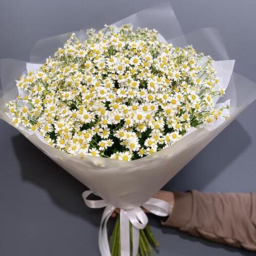 Букет из ромашек (35 шт)