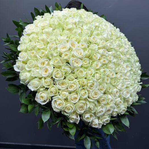 201 Роза Голландия 100 см с рускусом