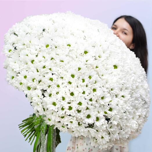 101 ветка кустовой хризантемы. Большой букет