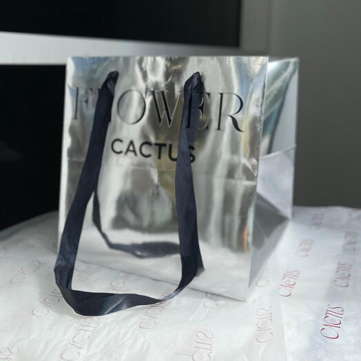 Подарочный пакет «FLOWER CACTUS»