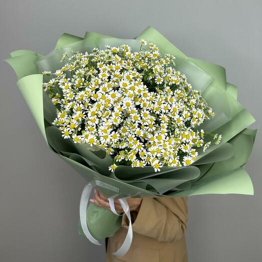Букет ромашек 25 шт