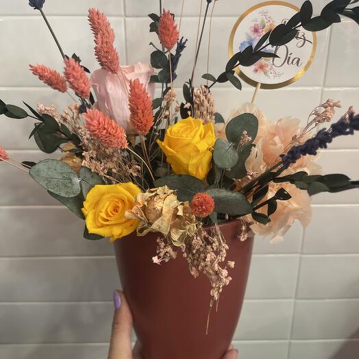 Centro preservado color