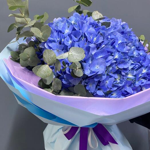 Королевская Гортензия