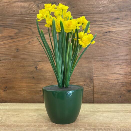 Искусственные нарциссы в горшке силикон / керамика h=30 см
