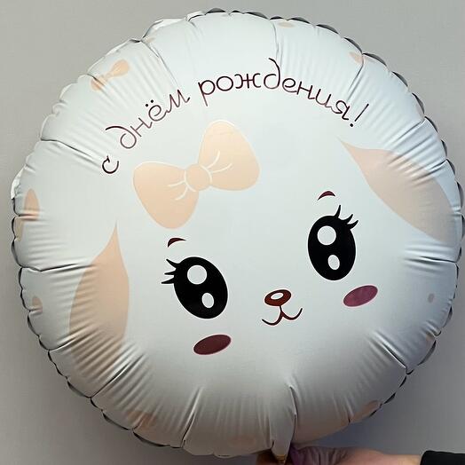 Шар гелевый с днем рождения мордашка