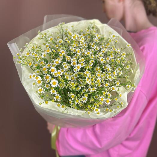 Полевой букет ромашки, кустовые ромашки матрикарии, 25шт