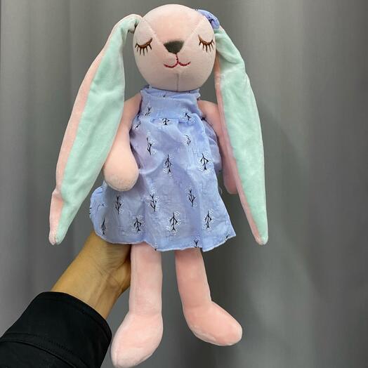 Спящая зайка