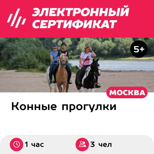 Подарочный сертификат Индивидуальная конная прогулка, 3 чел., выходные дни (1 час)