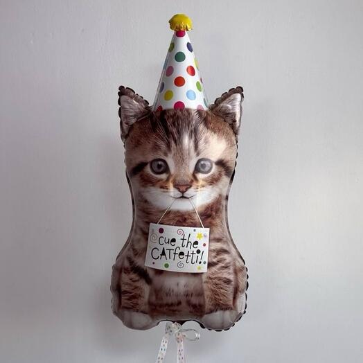Котик в колпачке