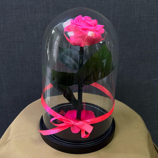 Роза в колбе — Fucsia