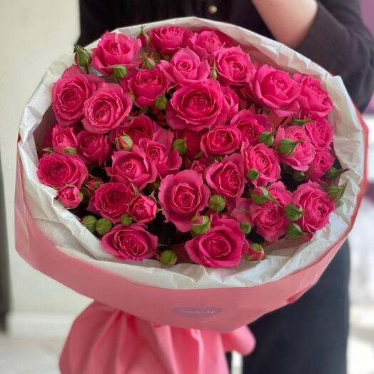 Shrub roses varietal