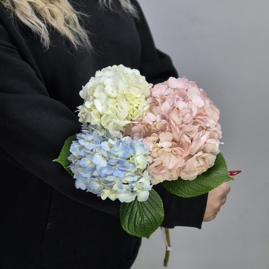 Букет гортензий