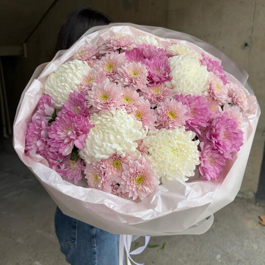 Chrysanthemum mix