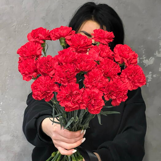 Моно из 20 красных гвоздик
