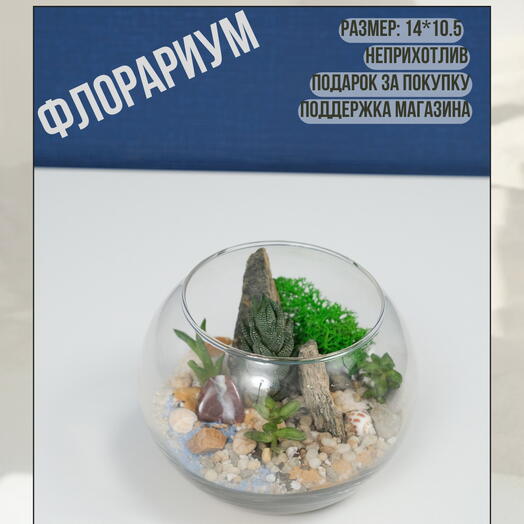 Благополучие флорариум