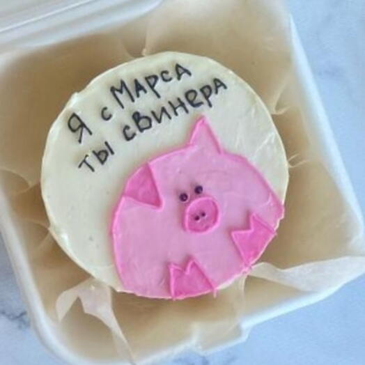 Бенто-Торт "Я с Марса, ты свинера"
