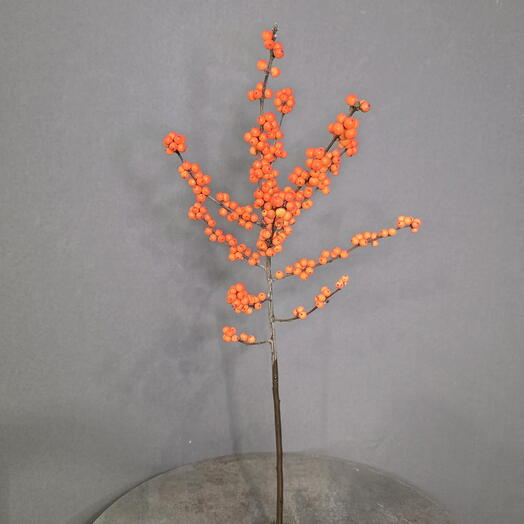 Илекс оранжевый