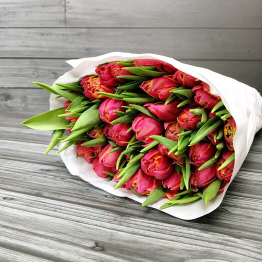 Пачка (50 шт.) Тюльпан Колумбус 40 см Арт. Fc04784c