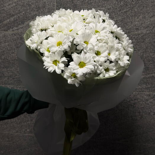 Bouquet of chrysanthemums Daisy (Chik)