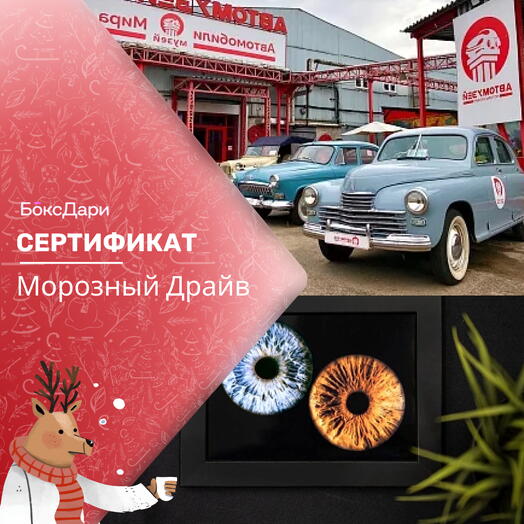 🎀 Подарочный набор «Морозный Драйв» 💝