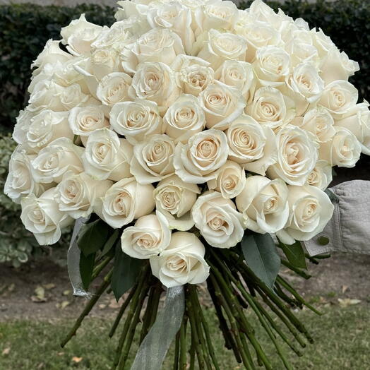 White Roses