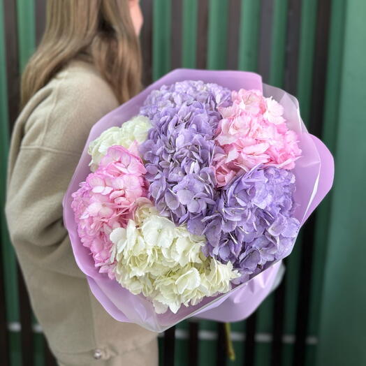 Микс из гортензий ( 7 )