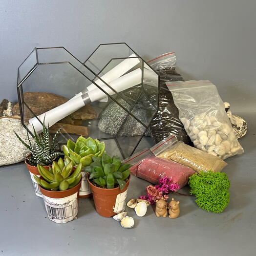 Набор для создания флорариума признание в любви с капибарами