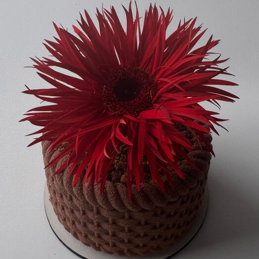 8 мара. Бенто торт муссовая корзина с герберой