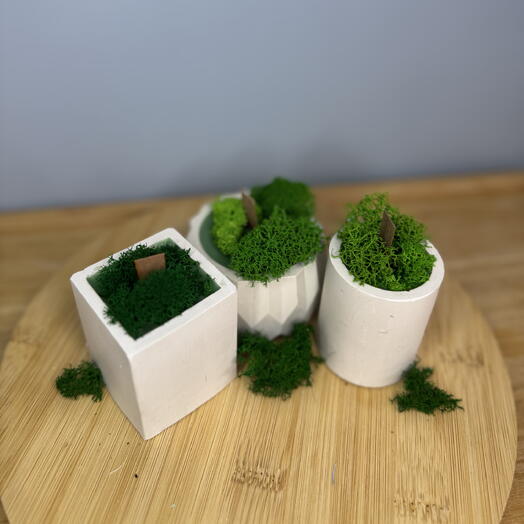 Свечи «Green grass»