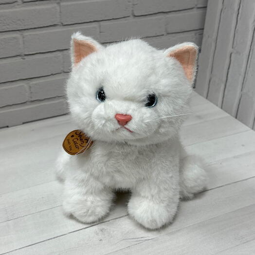 Кот подарок девушке подруге маме дочке жене любимой съедобный букет сладкий подарок на день рождения
