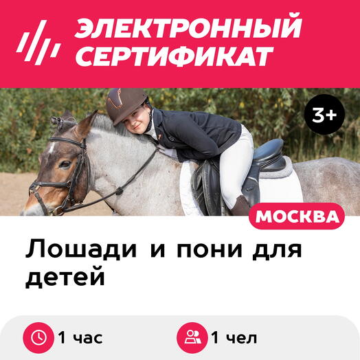 Подарочный сертификат Пони-школа. Индивидуальное занятие с тренером по верх. езде, 1 чел. (1 час)