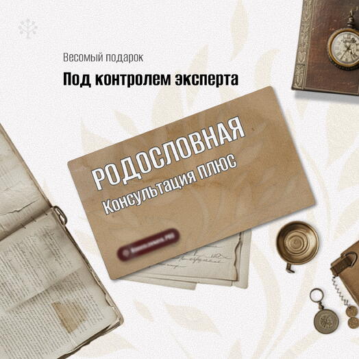 🎖 Подарок на 23 февраля с характером "Консультация ПЛЮС"