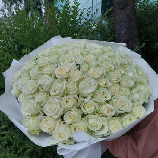 101 белоснежная Роза 🌹
