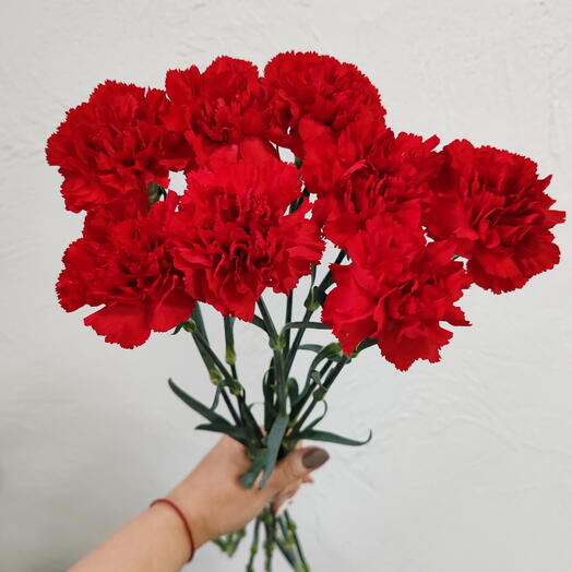 Гвоздика красная 8 шт