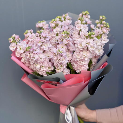 Розовый туман🌸