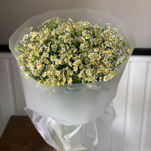 Ромашки для настроения 🥰