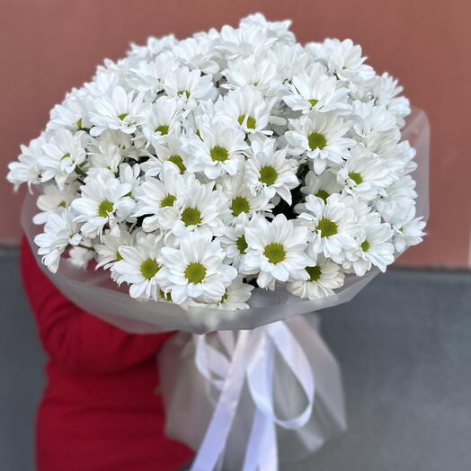 Большой букет ромашек ~201 ромашка (17 веточек)